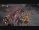 ソウルキャノンボール　stage7　ケバ騎士団