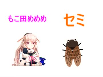 セミ(めめめバトルドーム)