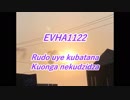 EVHA1122Shona