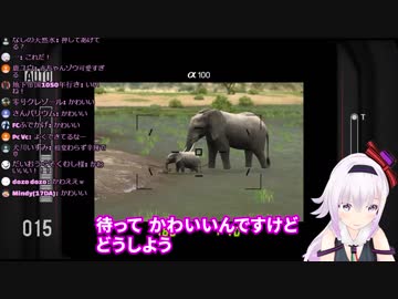 赤ちゃんゾウで限界早口オタクになる女【カルロ・ピノ】