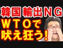 韓国がWTOで支持取り付け大失敗、日本のホワイト国除外と輸出規制で韓国が泣きを入れ始めて疑心暗鬼に陥る喜劇が発生ｗ【KAZUMA Channel】
