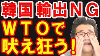 韓国がWTOで支持取り付け大失敗、日本のホワイト国除外と輸出規制で韓国が泣きを入れ始めて疑心暗鬼に陥る喜劇が発生ｗ【KAZUMA Channel】