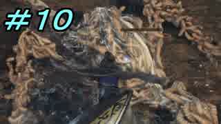 【ダークソウル３】熱い魂(ソウル)を燃やし尽くせ！！ #１０【夏休みの宿題】