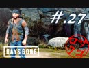 【DaysGone】ヘタレゴーン【初見実況】#.27