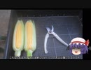 ゆっくり農民111トウモロコシを育ててみませんか？#9