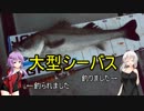 [魚釣り]紲星あかりのゆるいふぃっしんぐ　冬と春の詰め合わせ編[VOICEROIDフィッシング]