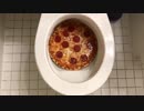 ピザをトイレに流してみた２