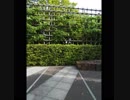 御朱印の旅　平等院　前編