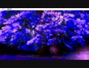 【!初実況プレイ!No.155】死月妖花～四月八日～【!ホラーノベル!】