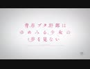 青春ブタ野郎はゆめみる少女の夢を見ない 『不可思議のカルテ』 6人ver.