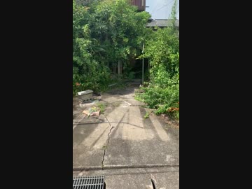 平成31年7月25日午後14時頃aiueo700邸視察とお見舞いに行ってきました