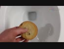 マクドナルドのクッキーをトイレに流してみた