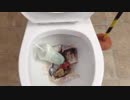 マクドナルドのゴミをトイレに流してみた