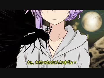 結月家の自宅で花火（結月純の日常）