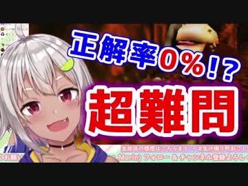 葉山舞鈴の町民クイズ