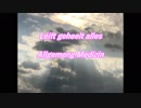 EVHA91Lëtzebuergesch