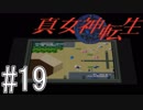 【真・女神転生　SFC版】＃19　ぽんぎへ　【南国HERO単ピン実況】