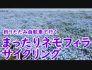 【ミニベロ】まったりネモフィラサイクリング【ポタリング】
