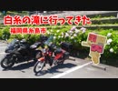 【Ninja1000】白糸の滝に行ってきた【クロスカブ】
