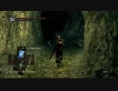 ダークソウルを新作にするMODの初見プレイ　21