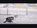 廃墟のブッダたち２