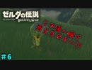 【続編決定記念】のんびりと伝説「ゼルダの伝説～ブレスオブザワイルド～」　＃6