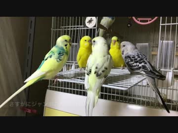 大物新人現わる？