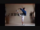 文部省唱歌・尋常小学唱歌第5学年海・ランドフィギュアで踊ってみた(^^)/