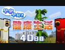 【Minecraft】早寝早起き 健康生活 40日目