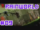 命がけのサバイバル！RainWorld実況するで#09【Switch/日本語版】