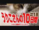 うりこさんの10日間 - 2019#18