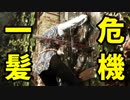 【A Plague Tale実況#1後編】扉を貫いた剣が血に染まっているのは…