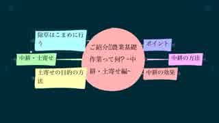 ご紹介!!農業基礎作業って何？ ~中耕・土寄せ編~