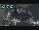 【ダークソウル３】熱い魂(ソウル)を燃やし尽くせ！！ #１４【夏休みの宿題】
