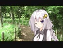 7月28日のあかり