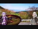 【ボイロ車載】ゆづきずライダーズ　part4　足柄峠～その2～