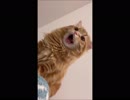 ダンバインのEDを歌ってみた