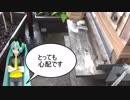 【素人養蜂　Part54】いきなりピンチです