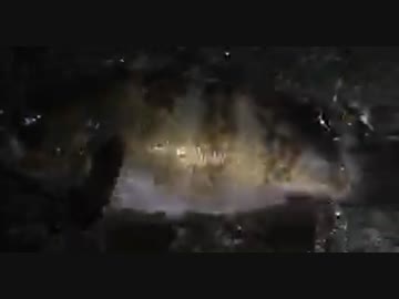 釣り　尺メバルゲット