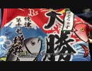 【鉄道旅行記?】普通列車で稚内までの線を描く旅 シーズン1第8話【延長】