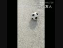 友人とサッカーするだけ