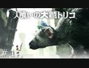 【実況】人喰いの大鷲トリコ　#１