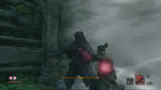 SEKIRO:SHADOWS DIE TWICE(隻狼)初見実況part13