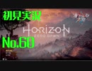 【初見実況】Horizon Zero Dawn【60】