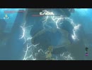 ひろくんのゼルダの伝説BotW - 剣の試練 序位 5回目の挑戦
