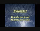 EVHA8811Maori