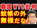 韓国が日本の「次の一手」に戦々恐々、トランプ大統領のWTO批判に韓国が無様すぎる泣き言を垂れ流し世界中の笑い物にｗ【KAZUMA Channel】
