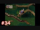 半身を求めてブレスオブファイアⅣをほぼ初見実況　part34