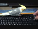 キーボドクラッシャーbyオカメインコ