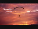 Skywalker / Whimagnet / スポーツゲーム